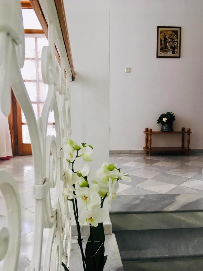 Guest House Barbov Обзор Екстер'єр фото